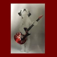 Jon Lord Photo 26 Jon Lord Photo 26