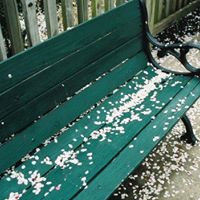 Jack Robbins Photo 19