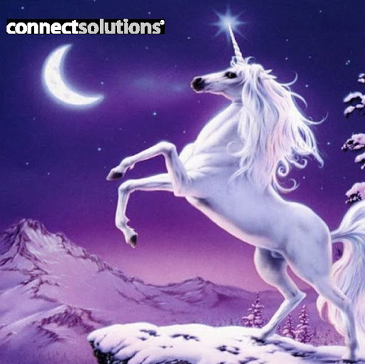 Gary Fitzpatrick Photo 34