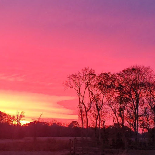 Tracy Potts Photo 15