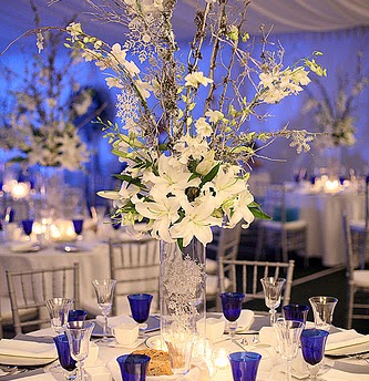 Ann Silva Photo 32