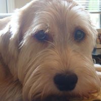 Mathew Henning Photo 1