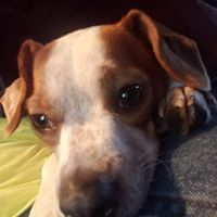 Raymond Dodd Photo 8