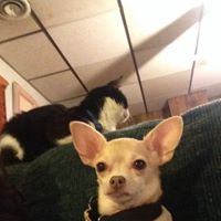 Janet Burgess Photo 7