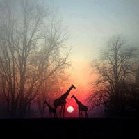 Patricia Delaney Photo 20