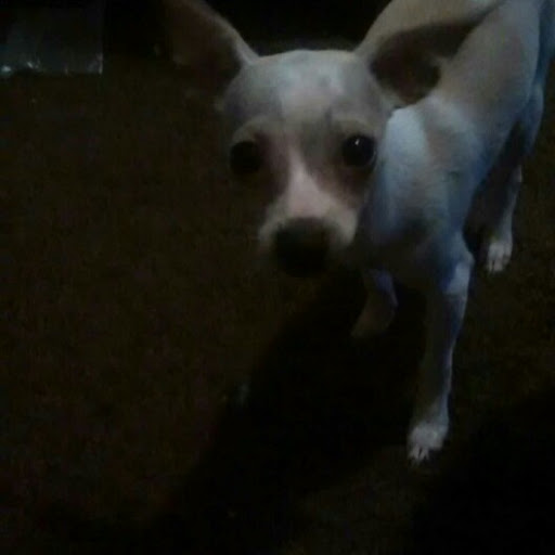 Richard Short Photo 17