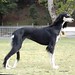 Deborah Ratliff Photo 26