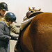 Sheryl Myers Photo 23