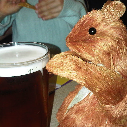 Paula Barrett Photo 42 Paula Barrett Photo 42