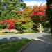 Elizabeth Duffey Photo 13