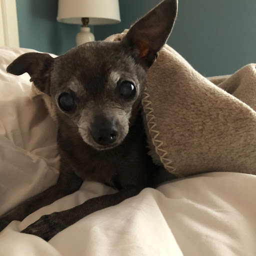 Hannah Galloway Photo 18