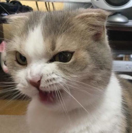 Charlotte Wu Photo 31