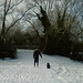 Wayne Snow Photo 8