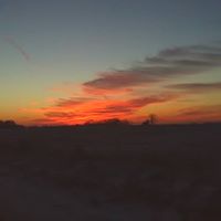 Sue Poe Photo 23