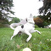 Toby Ball Photo 19