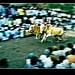 Janet Race Photo 13
