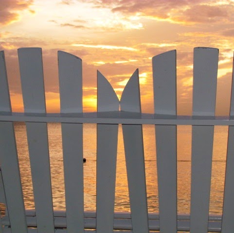 Connie Weber Photo 20 Connie Weber Photo 20