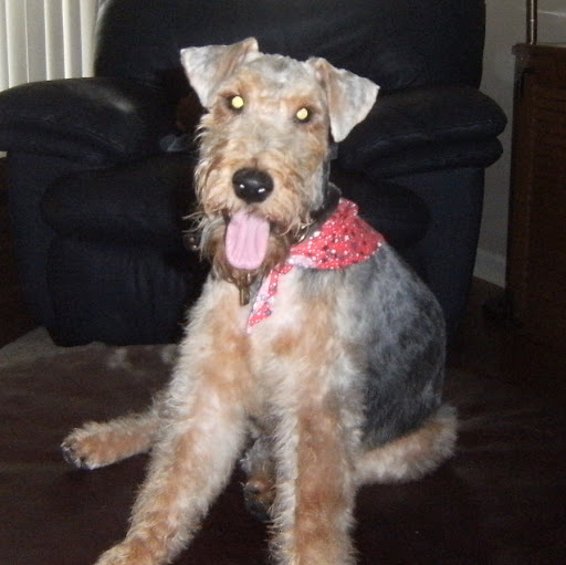Nancy Conley Photo 21