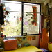 Shelia Means Photo 13