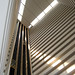 Beth Bellows Photo 21