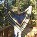 Robin Rhoads Photo 22