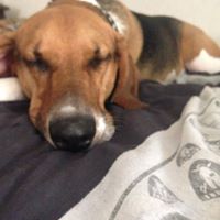 Jill Dickey Photo 18