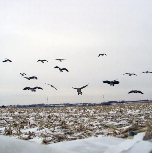 Mark Garber Photo 14