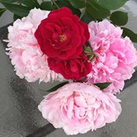 Sandra Abel Photo 13