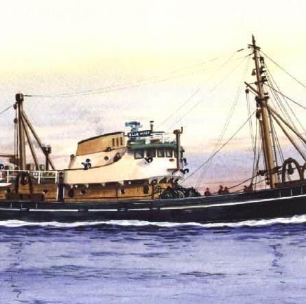 Donna Fitzpatrick Photo 41 Donna Fitzpatrick Photo 41