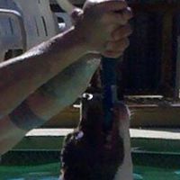 Stacy Drake Photo 12