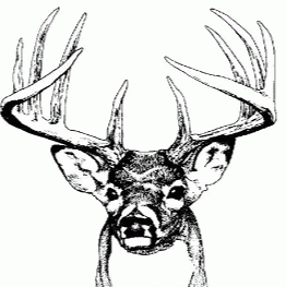 Jordan Mcdaniel Photo 16