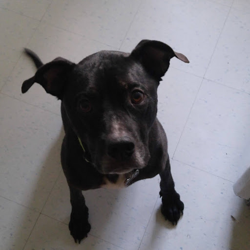 Steven Weidner Photo 5