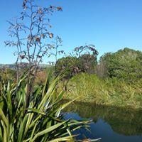 Merle Webber Photo 1