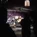 Neil Campbell Photo 31