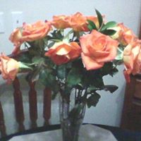 Becky Waggoner Photo 29