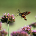 Teresa Jacks Photo 19
