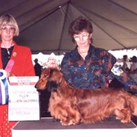 Janet Whittaker Photo 16