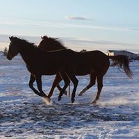 Bobbie Redding Photo 2