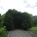 Robert Allee Photo 12
