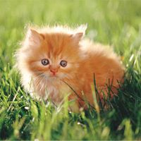 Maxine Young Photo 22