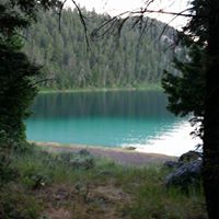 Gayle Scott Photo 40