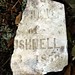 Elizabeth Adkins Photo 18