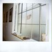 Catherine Toth Photo 12