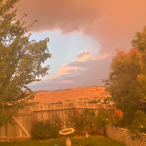 Pamela Lynch Photo 33