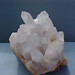 Crystal Wise Photo 32