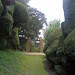 Charles Hedges Photo 13