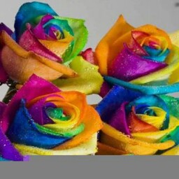 Laurie Warren Photo 3