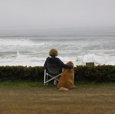 Susan Barlow Photo 20