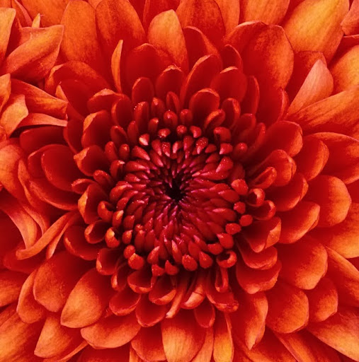 Sarah Garza Photo 16