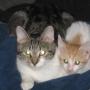 Sharon Jackson Photo 29